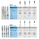 frank-dental--bur-chart-tf.webp