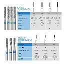 frank-dental--bur-chart-sf.webp