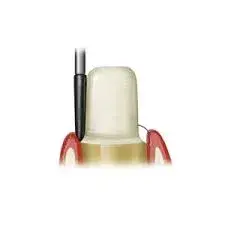 images_19__1.webp