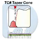 TC 2.webp