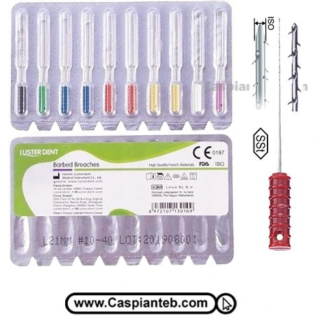 [003-0011] ابر شائكه  Luster dent 2%