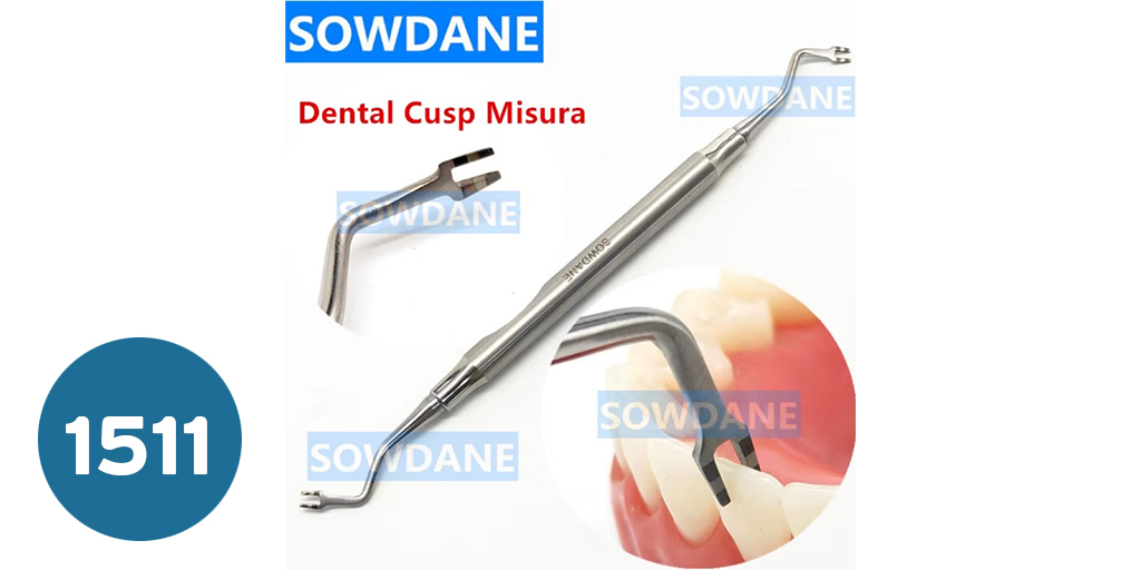 [أدوات تقويم] Crown Aesthetic Proportion Gauge