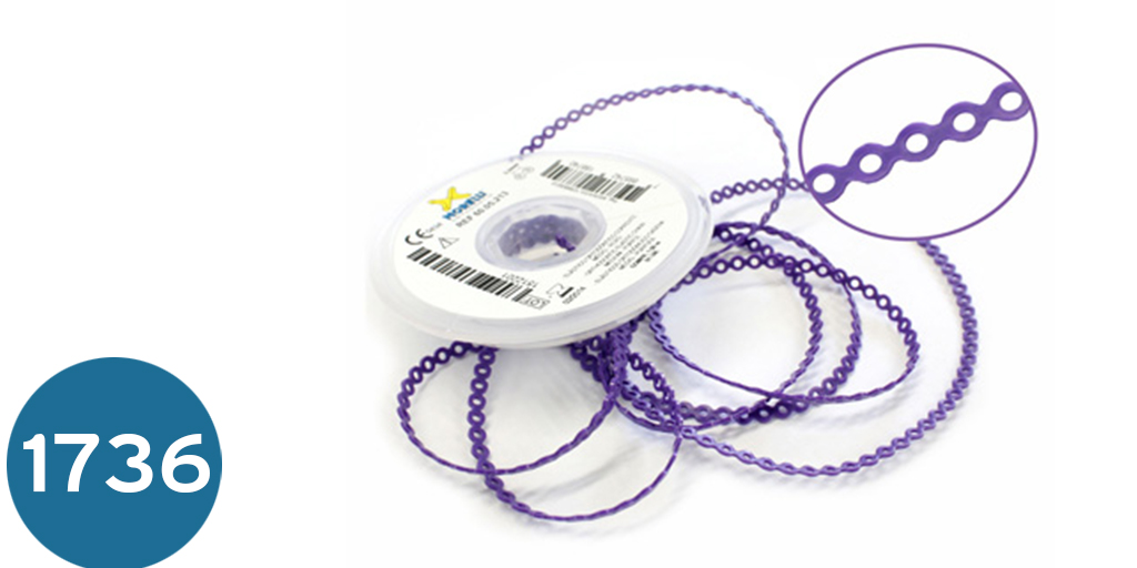 [باورتشن] باورتشن مورلي  Elastic Chain