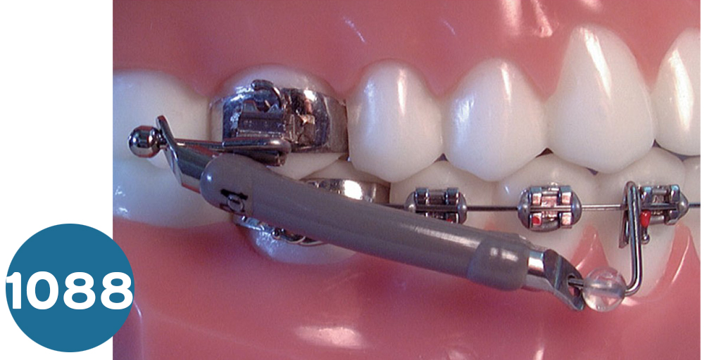 Jasper Jumper and Gentle Jumper