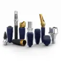 Megagen implant