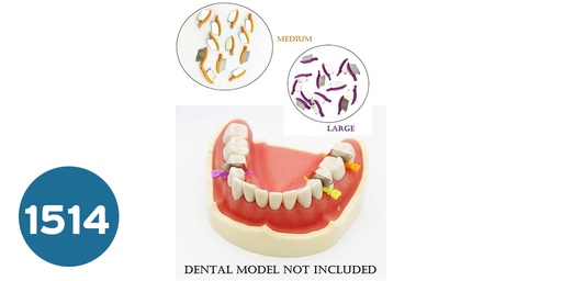 [انتردينتال ويدج] ودج  Dental Wedge